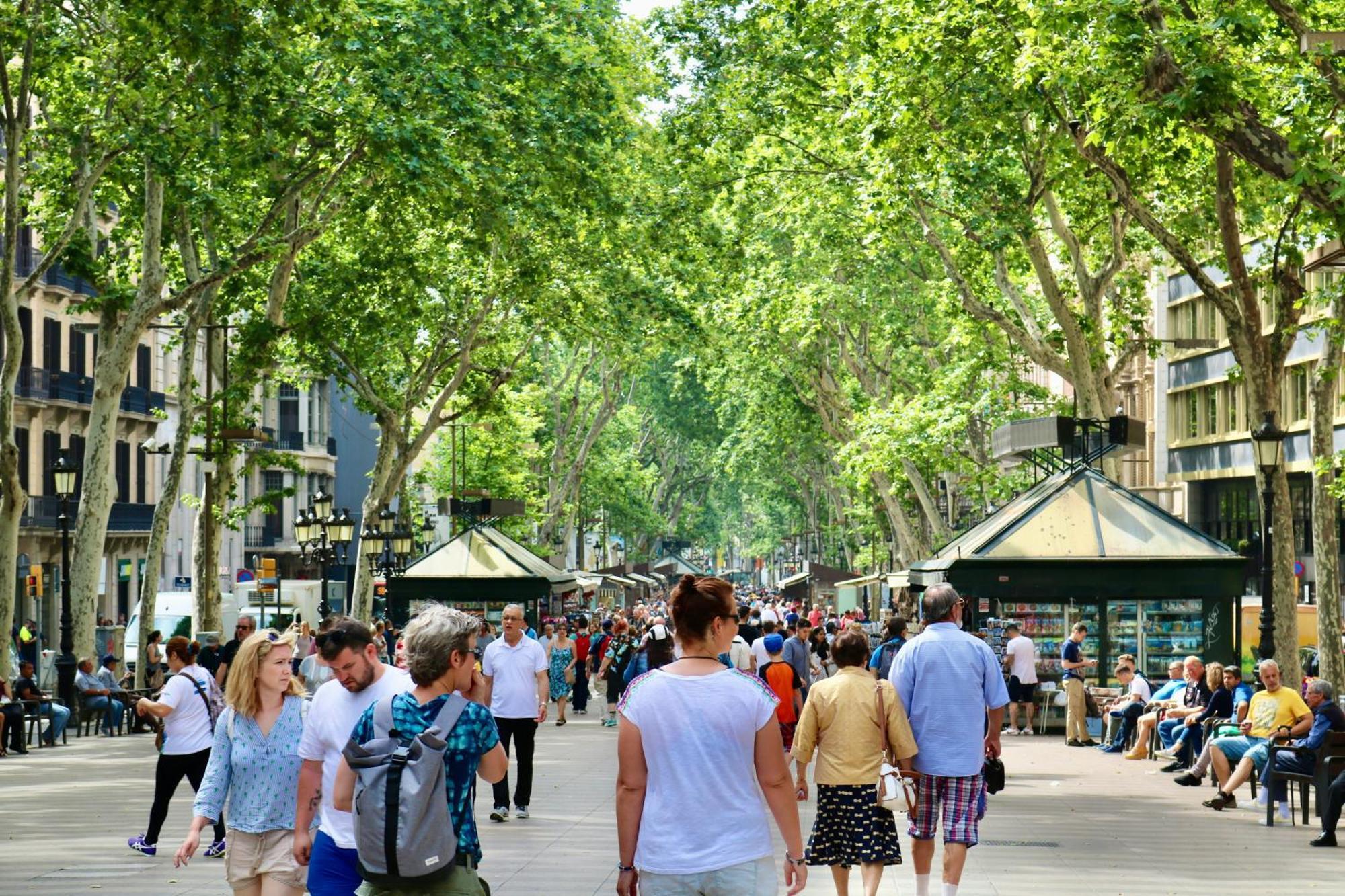Dorma Ramblas Boqueria — Fotoğraflar 2