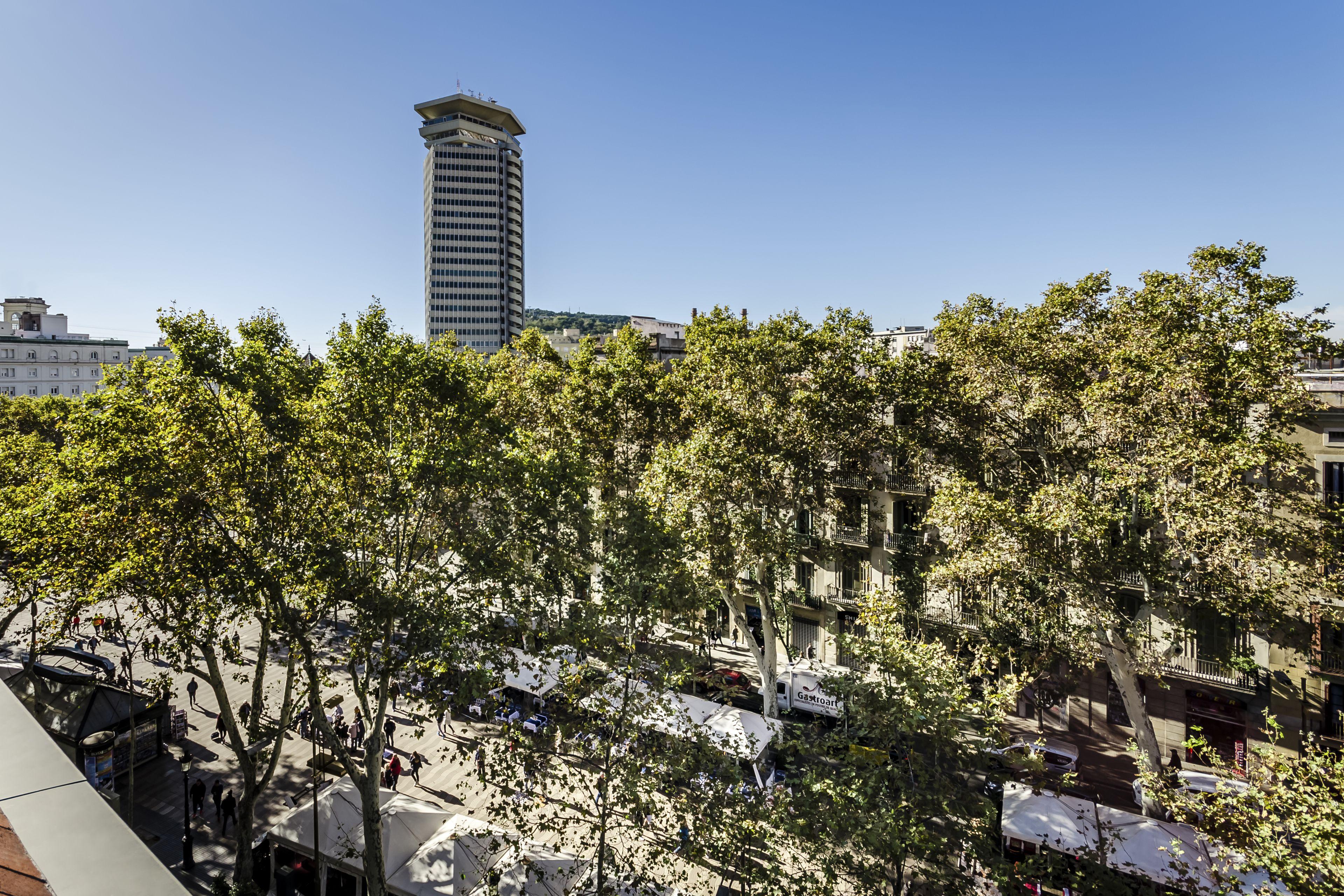 Dorma Ramblas Boqueria — Fotoğraflar 1